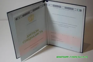 Купить диплом Филиала СПб ИВЭСЭП в г. Калининграде — Санкт-Петербургского института внешнеэкономических связей, экономики и права в Великом Новгороде
